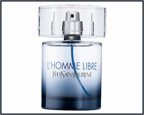 Yves St Laurent : L'Homme Libre type (M)